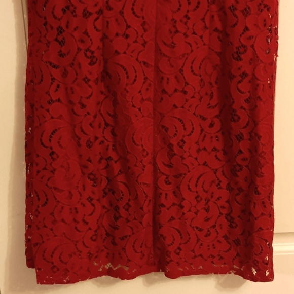 Loft Lace Dress - Picture 6 of 9